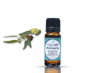 שמן אתרי אקליפטוס גלובולוס 10 מ"ל Nature Oil